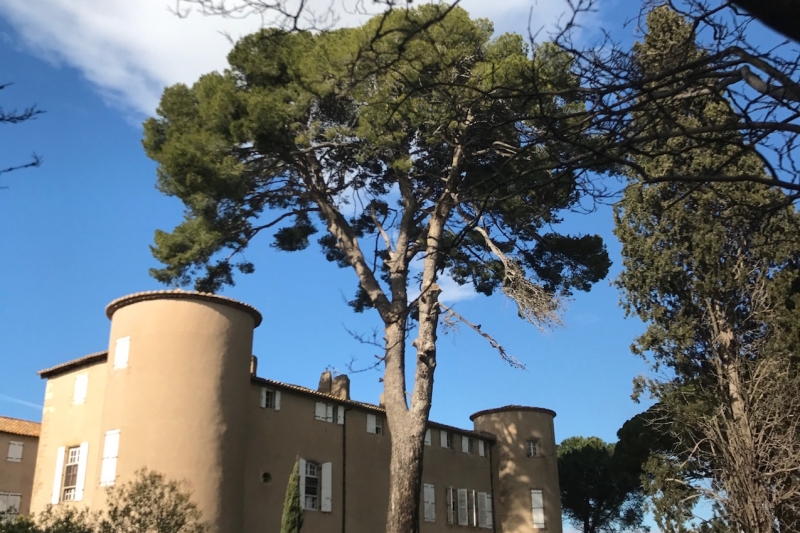 Château XVII° Montpellier