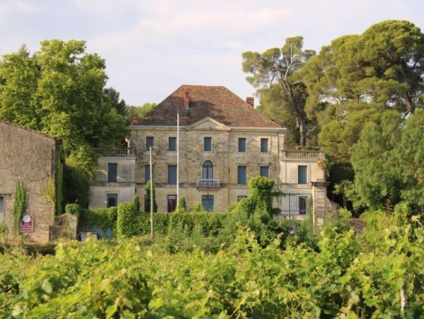 Propriété viticole, CHATEAU XVII°