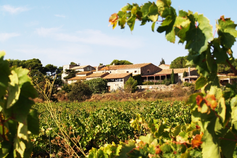 Propriété Viticole dans la Clape , AUDE