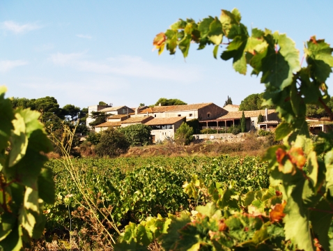 Propriété Viticole dans la Clape , AUDE